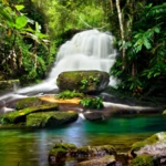 Logo of Waterfalls Live Wallpaper android Application 